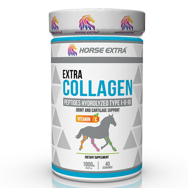 Horse Extra Horse Extra